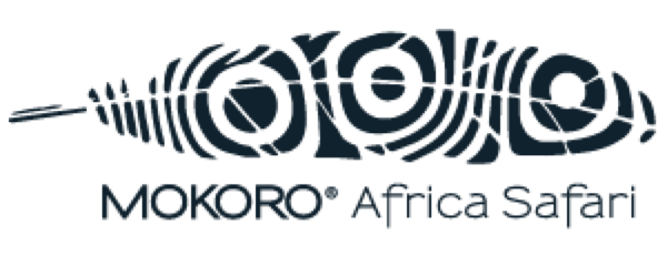 Mokoro