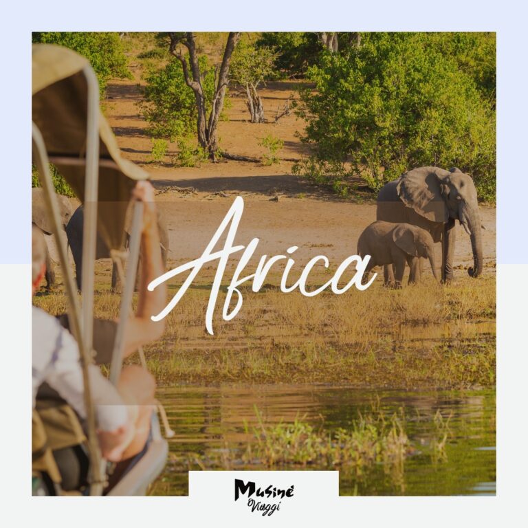Viaggio di nozze in Africa