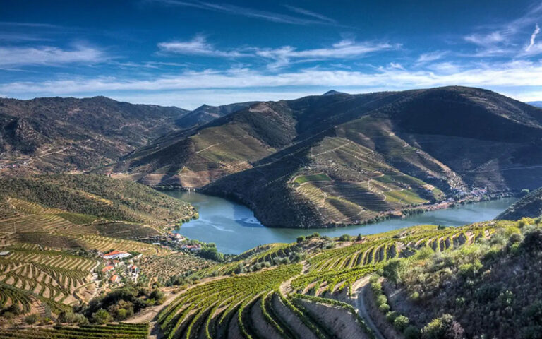 PORTOGALLO LA STRADA DEI VINI DURATA: 8 GIORNI / 7 NOTTI GUIMARAES, LAMEGO, PORTO, COIMBRA, FATIMA, OBIDOS, LISBONA, PARQUE NATURAL DE ARRABIDA, AZEITAO ITINERARIO QUOTA SOLO TOUR A PARTIRE DA: €990 DURATA: 8 giorni / 7 notti DATE DI PARTENZA: PARTENZA SETTIMANALE AD OTTOBRE